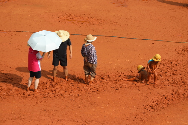 "맨발로도 괜찮아요"…제주 어싱 산책로·해변 중금속 안전
