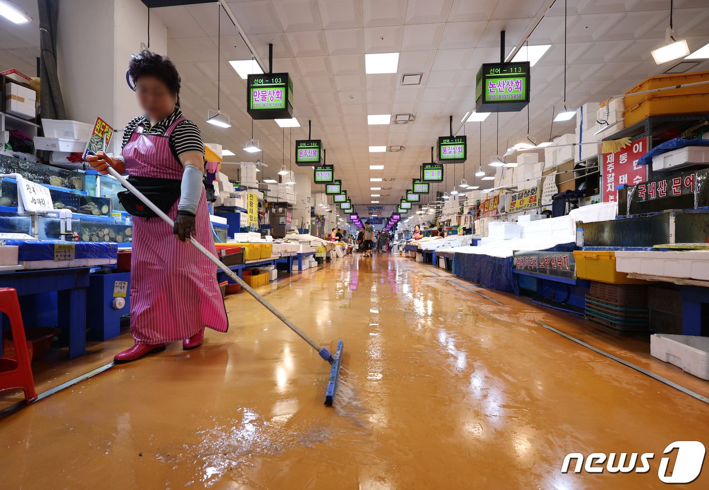 본문 이미지 - 일본 후쿠시마 원전 방사능 오염수 방류 후 첫 주말인 27일 서울 동작구 노량진수산시장에서 상인이 손님을 기다리고 있다. 일본 정부는 지난 24일부터 원전 오염수 해양 방류를 개시했으며 우리 정부는 오염수 방류 상황을 점검할 전문가 3명을 파견한다. 2023.8.27/뉴스1 ⓒ News1 신웅수 기자