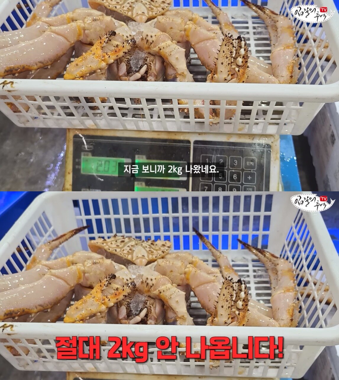 본문 이미지 - (유튜브 '입질의 추억TV jimin TV' 갈무리)