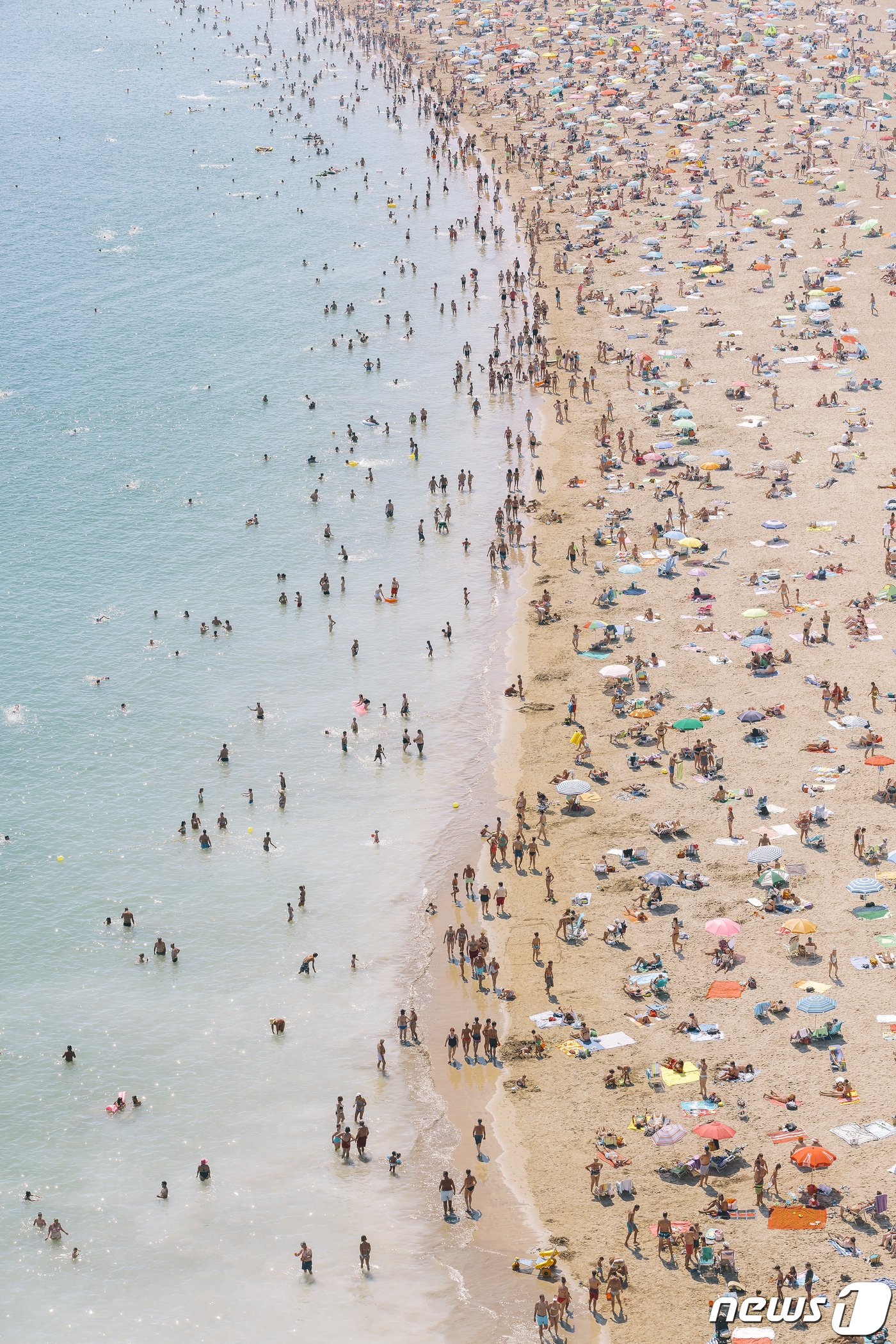 본문 이미지 - 스페인 사진작가 요시고 작품.(제주관광공사 제공)