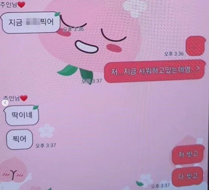 본문 이미지 - 온라인 커뮤니티 계정 갈무리