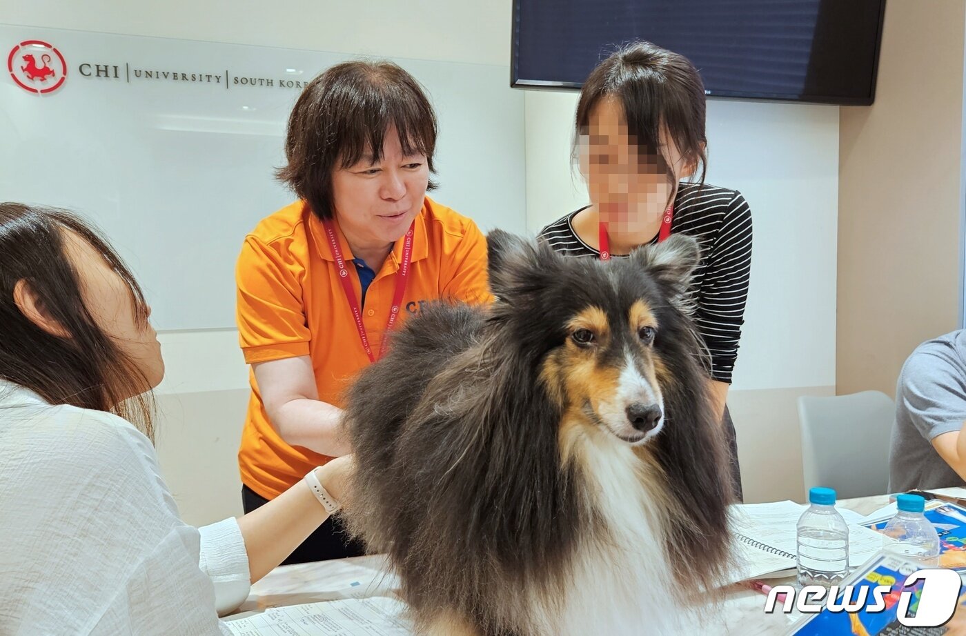 본문 이미지 - 신사경 원장이 28일 서울 강남구 'VIP동물한방재활의학센터 바이 닥터 신사경'에서 CVA 교육을 하고 있다. ⓒ 뉴스1 최서윤 기자