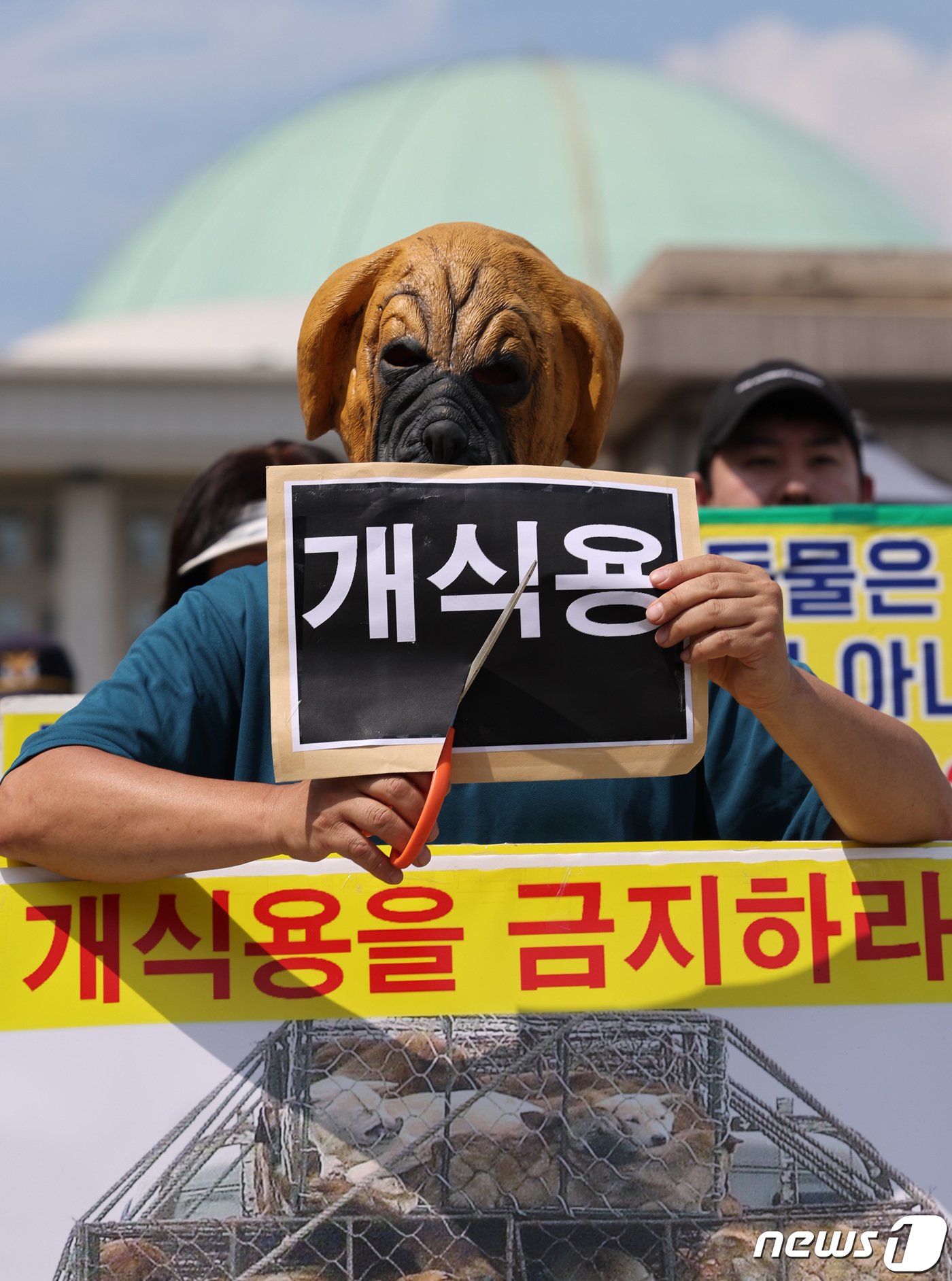 이원복 한국동물보호연합 대표가 31일 서울 여의도 국회 앞에서 열린 개식용 금지법의 국회 연내 통과를 촉구하는 기자회견에서 개식용 반대 퍼포먼스를 하고 있다. 2023.8.31/뉴스1 ⓒ News1 박지혜 기자