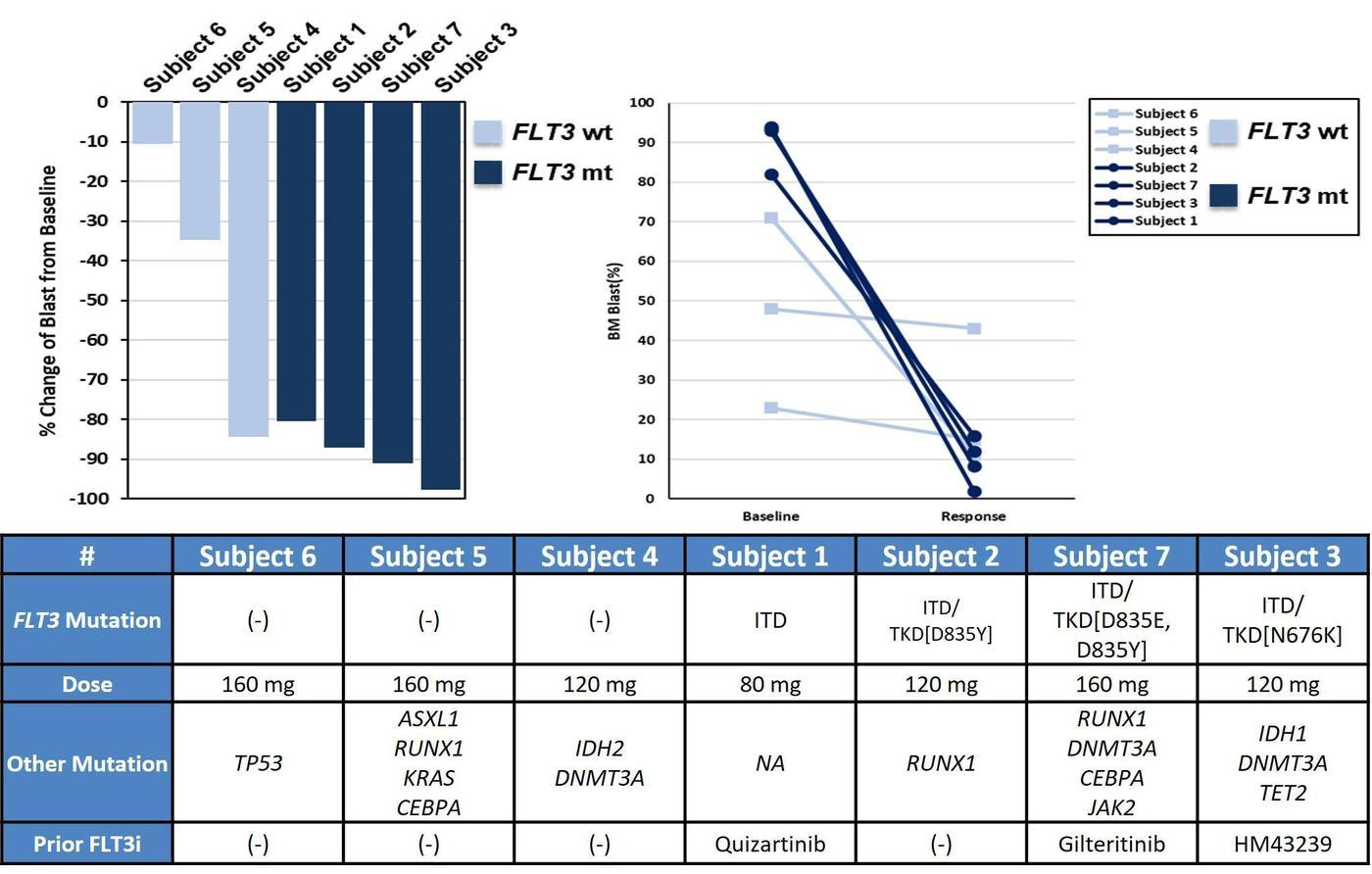본문 이미지 - 급성골수성백혈병 대상 PHI-101 임상 1상a시험 중간결과.&#40;자료 금융감독원&#41;