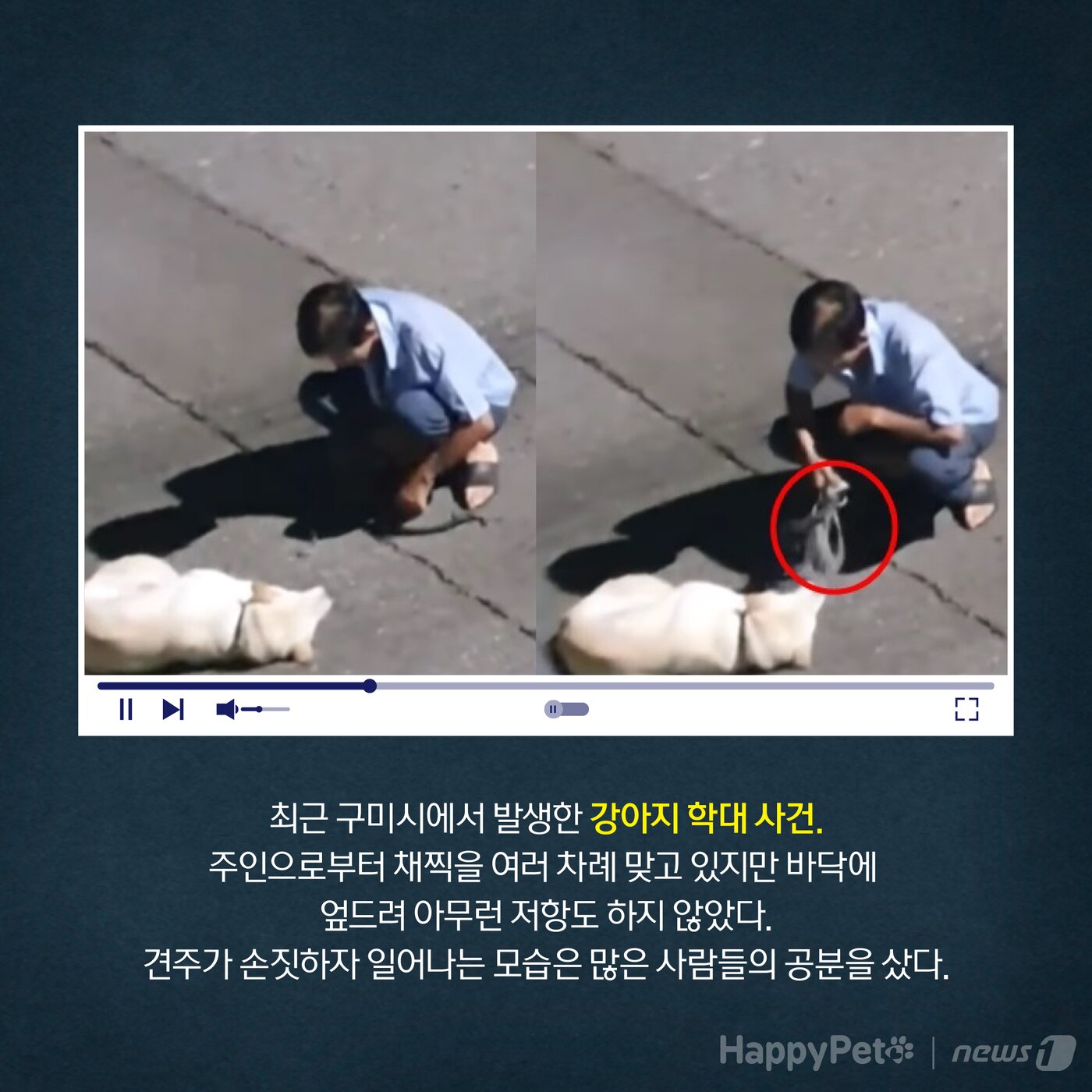 본문 이미지 - 동물학대 펫카드