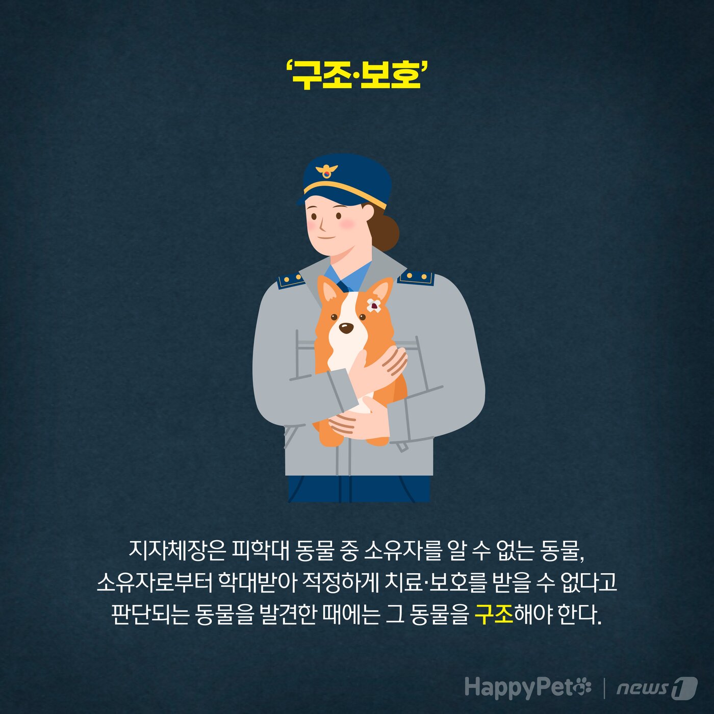 본문 이미지 - 동물학대 펫카드