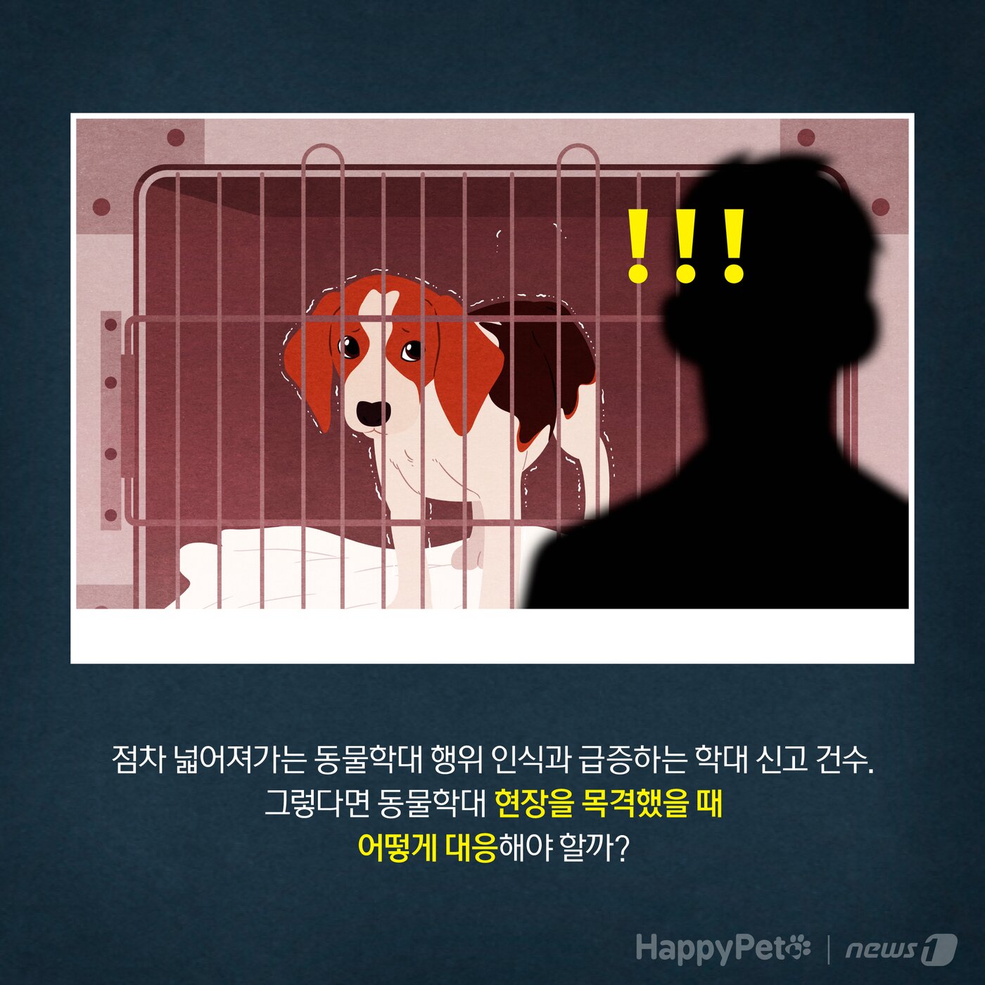본문 이미지 - 동물학대 펫카드