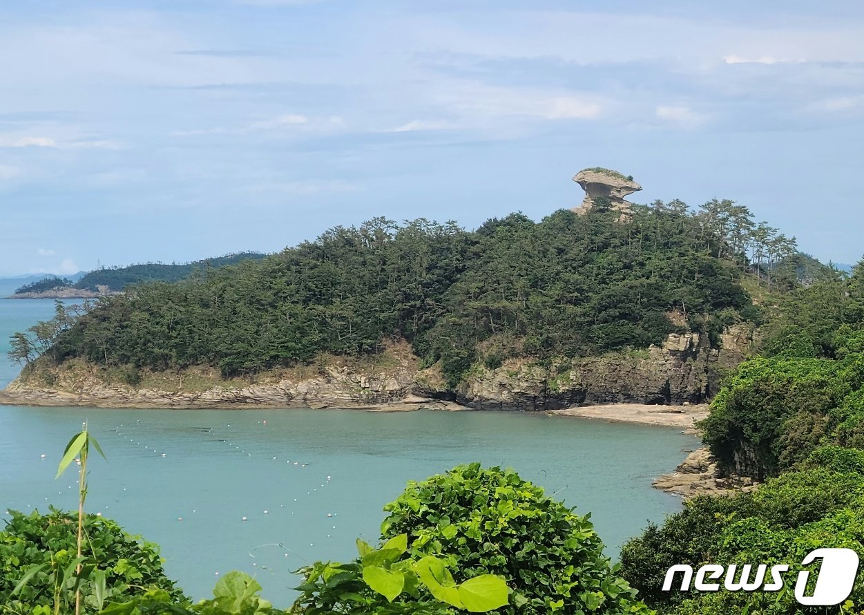 본문 이미지 - 방아섬 2023.8.4 뉴스1 ⓒ News1 조영석 기자 