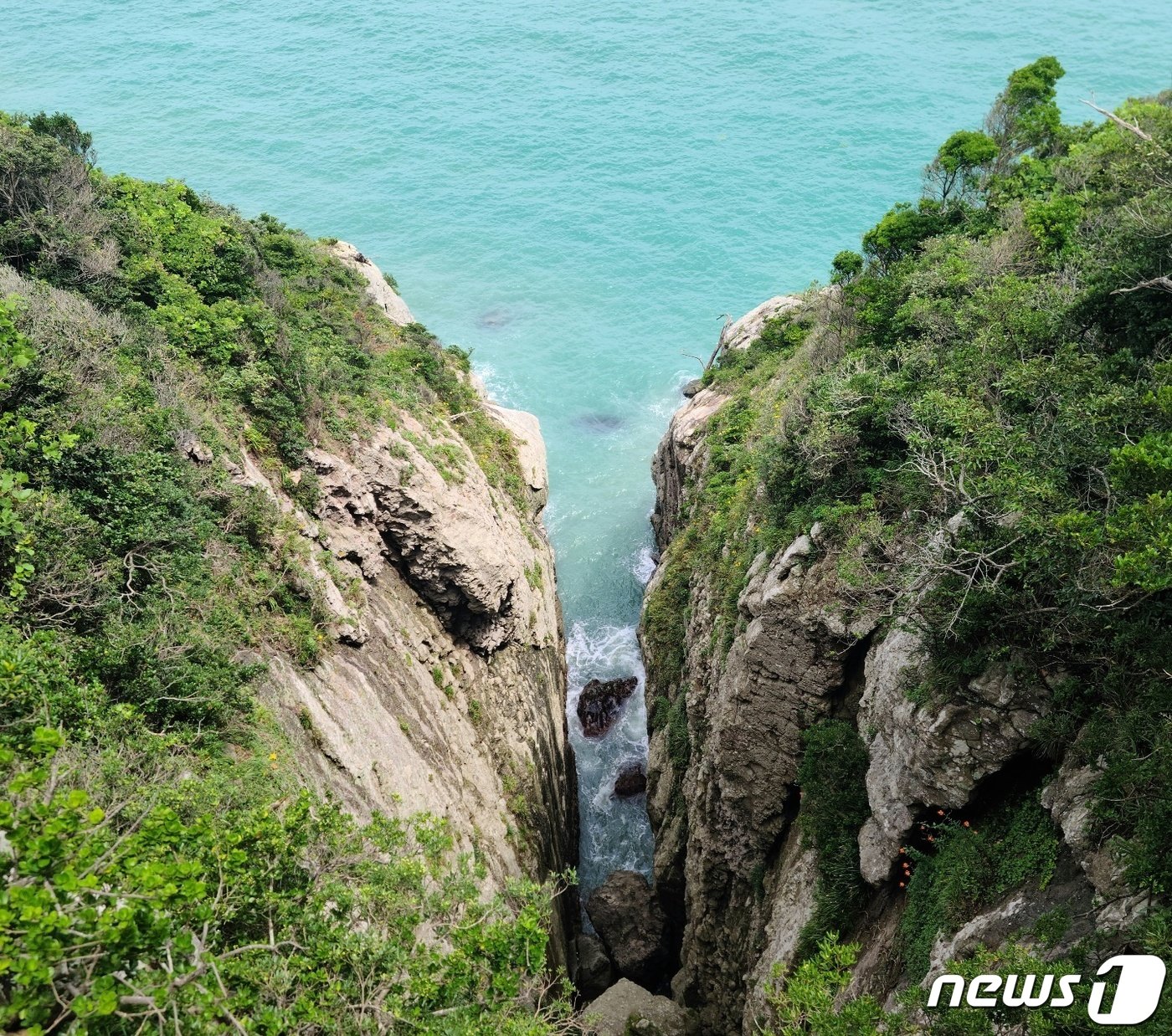 본문 이미지 - 하늘다리 2023.8.4 뉴스1 ⓒ News1 조영석 기자 