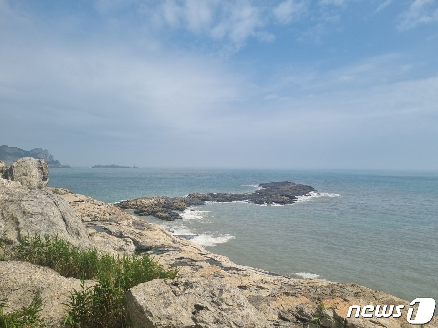 본문 이미지 - 다리여 (다도해해상국립공원서부사무소 관매도센타 제공)2023.8.4/뉴스1   