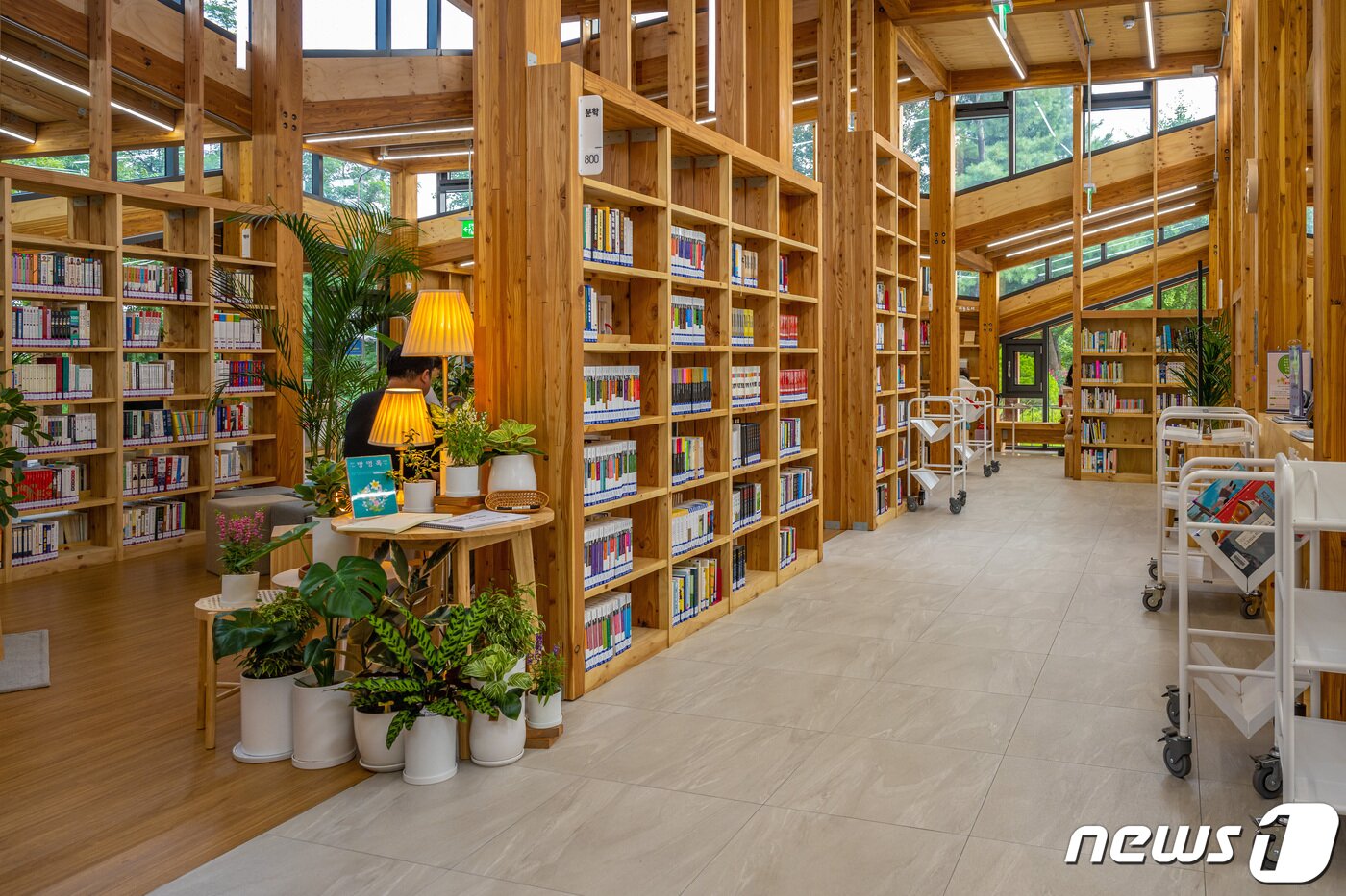 본문 이미지 - 오동숲속도서관에는 일반서와 아동서까지 8000여권의 책을 소장하고 있다(서울관광재단 제공)