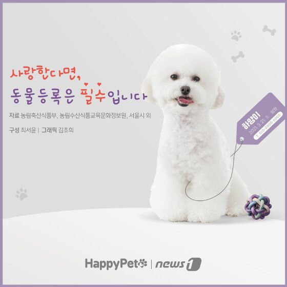 펫카드 동물등록 © 뉴스1