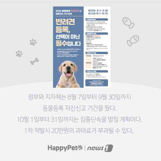 펫카드 동물등록 © 뉴스1