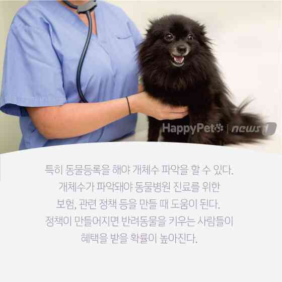 펫카드 동물등록 © 뉴스1