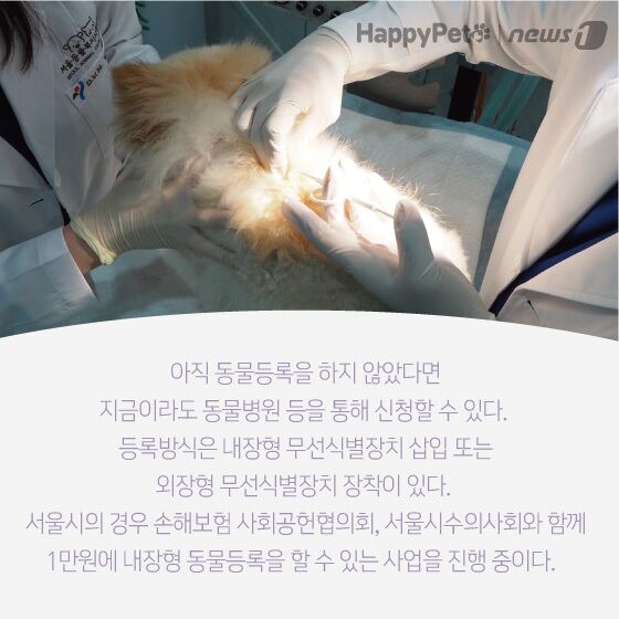 펫카드 동물등록 © 뉴스1