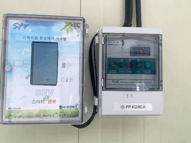 본문 이미지 - 중기부가 제주시 아라동에 문을 연 발달장애인특화사업장 &#39;가치만드소&#39; 내 버섯재배실 모습 ⓒ News1 이민주 기자