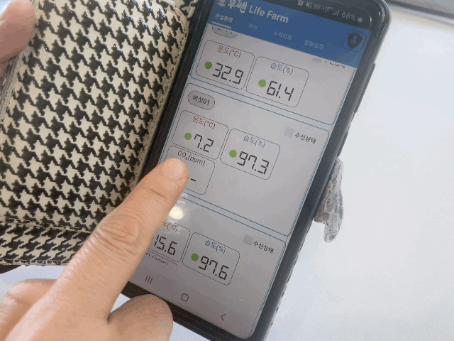 본문 이미지 - 스마트팜 관리 앱으로 온도와 습도 등을 확인하는 모습. ⓒ News1 이민주 기자