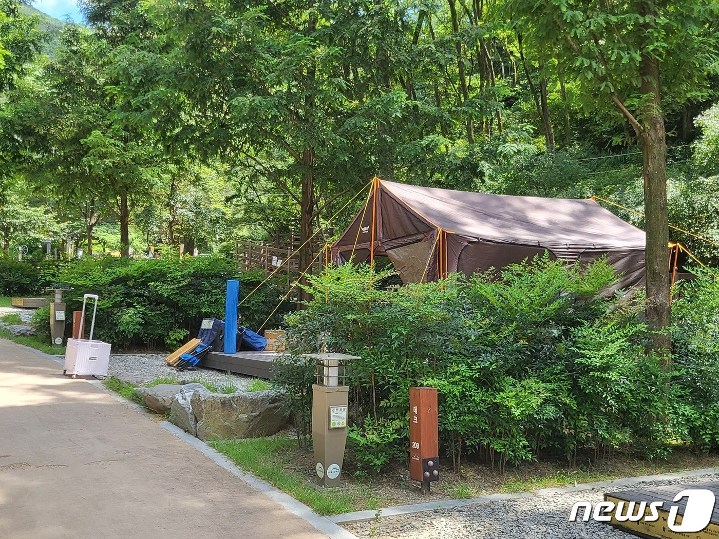 본문 이미지 - 7일 진밭골 야영장 모습.2023.8.7/뉴스1 ⓒ News1 이성덕 기자