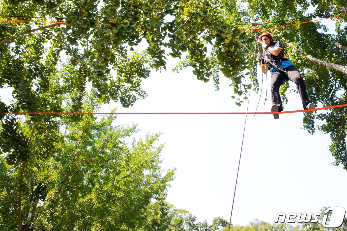 본문 이미지 - 조계종 총무원장 7일 선운사 방문…스카우트 대원들 격려