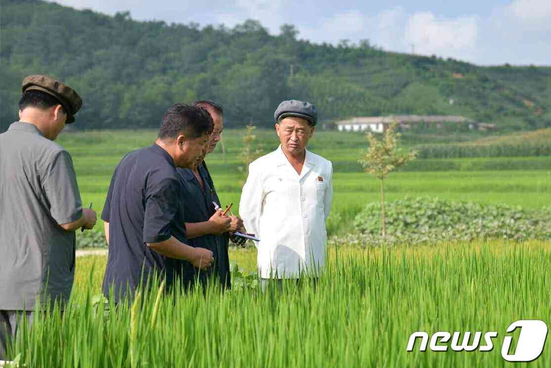 (평양 노동신문=뉴스1) = 북한 노동당 기관지 노동신문은 8일 