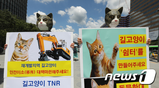 한국동물보호연합, 길고양이 쉼터 촉구 퍼포먼스