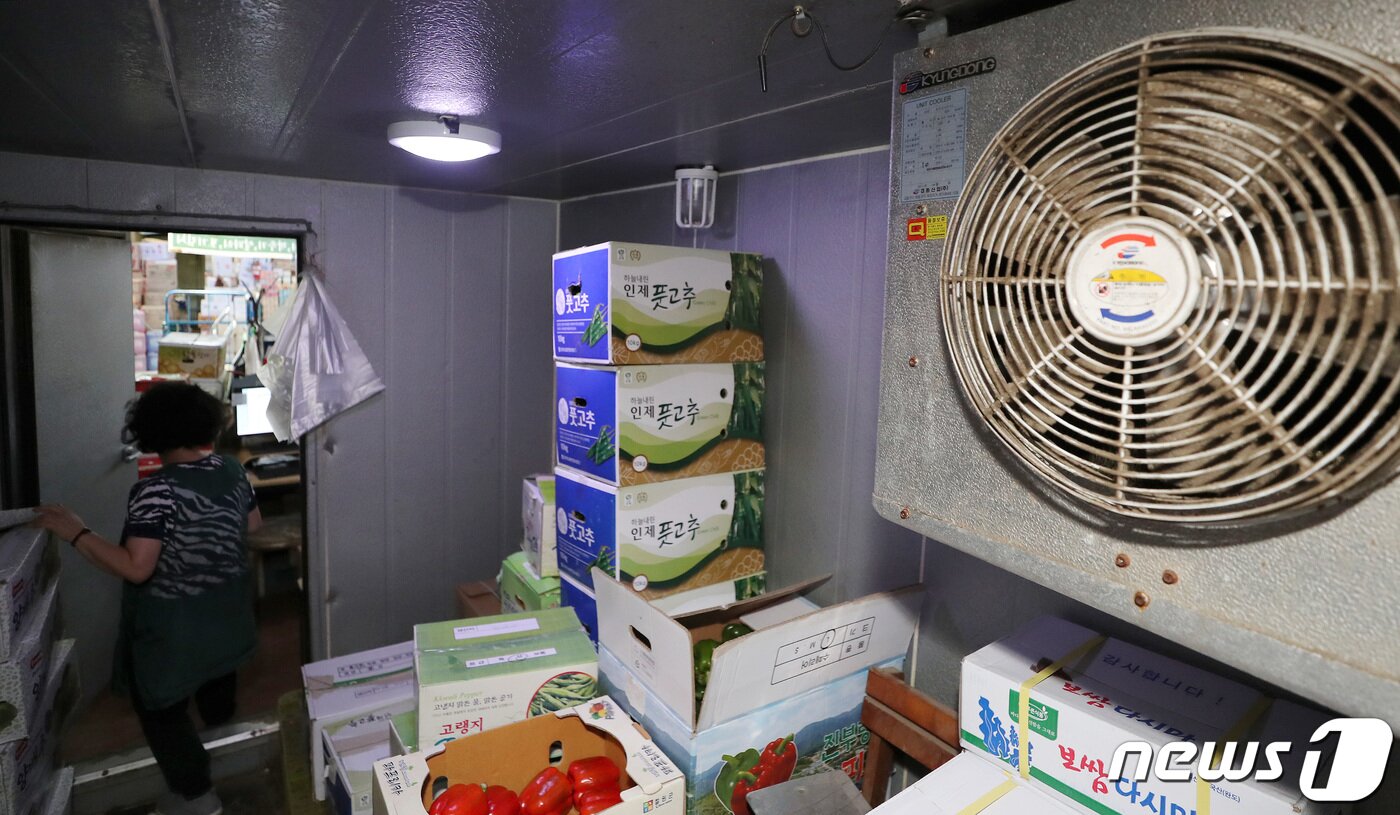 본문 이미지 - 서울 마포농수산물시장에서 한 상인이 더위 속에 채소류를 냉장 보관하고 있다. 2023.8.8/뉴스1 ⓒ News1 이동해 기자