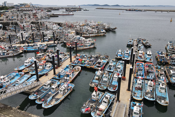 서산·태안·당진·홍성·보령·서천 '강풍경보' 격상…여객선 운항 중단