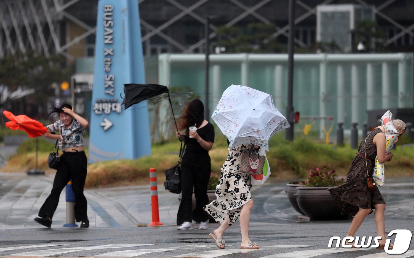 본문 이미지 - 제6호 태풍 '카눈'이 북상 중인 9일 부산 해운대구 엘시티 인근에 강한 빌딩풍이 몰아쳐 관광객들이 우산을 부여 잡고 힘겹게 걷고 있다. 2023.8.9/뉴스1 ⓒ News1 윤일지 기자