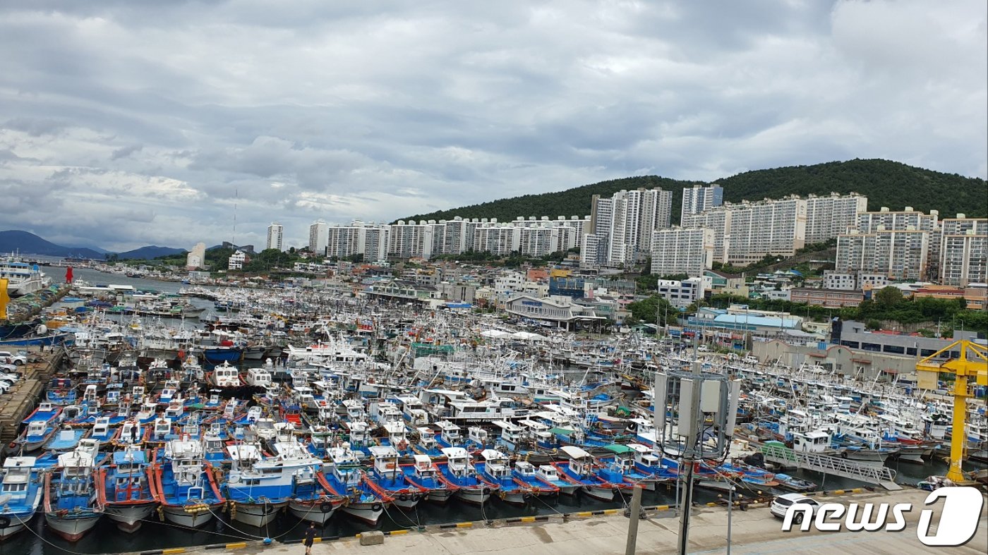 본문 이미지 - 제6호 태풍 '카눈'이 북상 중인 9일 오후 전남 여수 국동항에는 1000여척의 선박들이 피항해 있다.2023.8.9/뉴스1 ⓒ News1 김태성 기자