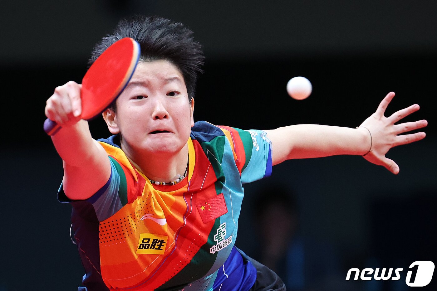 본문 이미지 - 쑨잉샤가  &#39;2023 평창아시아탁구선수권대회&#39; 여자복식 결승전에서 스매싱하고 있다. 2023.9.10/뉴스1 ⓒ News1 민경석 