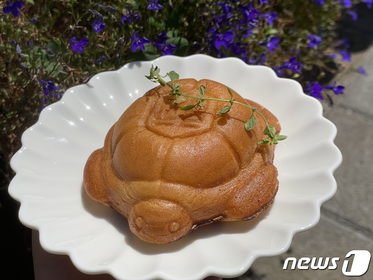 본문 이미지 - 동해시 주민복합 플랫폼 '거북당'에서 판매될 예정인 거북빵(동해시 제공) 2023.9.13/뉴스1