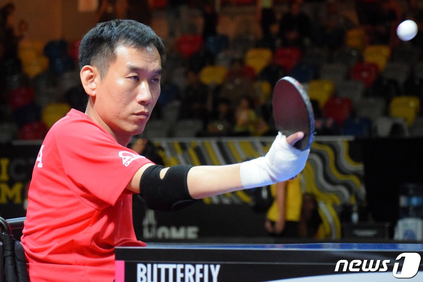 본문 이미지 - 14일(현지시간) 독일 뒤셀도르프에서 열린 전 세계 상이군인 체육대회 '인빅터스 게임 2023' 탁구 남자 단식 경기에 출전한 신법기 선수. 2023.9.15/뉴스1 ⓒ News1 국가보훈부공동취재단