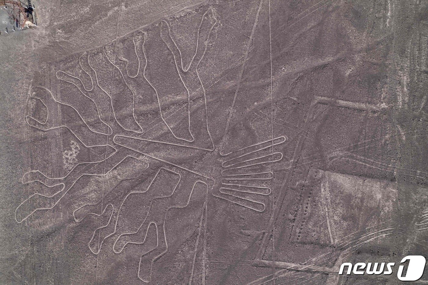 본문 이미지 - 페루 남서부 나스카 사막에서 1600년 전 그려진 것으로 추정되는 거대 지상화가 지난 5월 항공 카메라에 포착된 모습이다. 그림의 크기가 워낙 크기 때문에 상공에서만 전체 윤곽을 확인할 수 있다. 2023.5.17. ⓒ AFP=뉴스1 ⓒ News1 김성식 기자