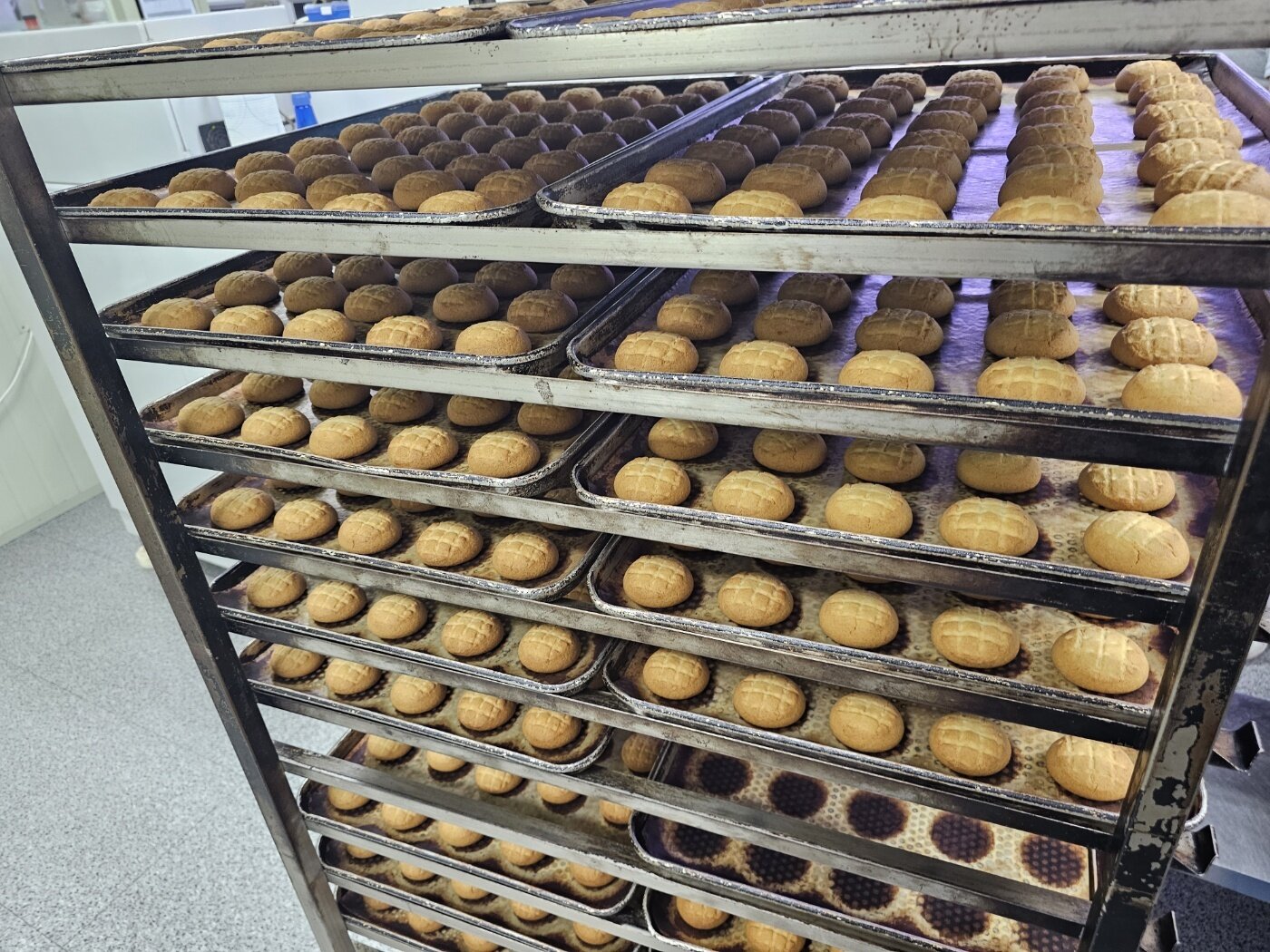 본문 이미지 - 13일 제주시 애월읍 제키스 공장에서 생산된 제품. /사진 = 장도민 기자