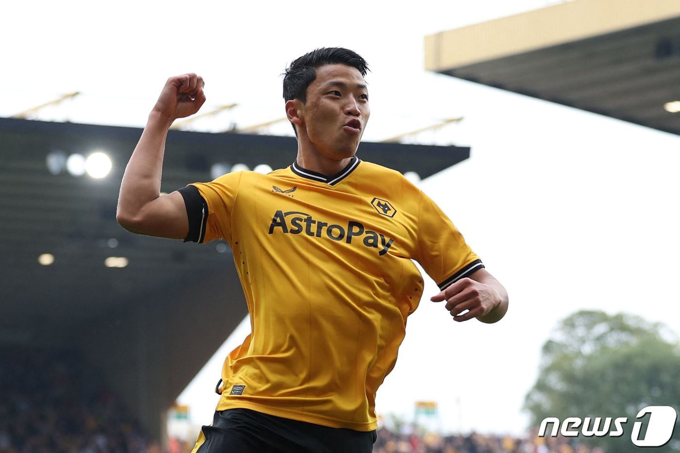본문 이미지 - 울버햄프턴의 황희찬이 16일(현지시각) 영국 울버햄프턴의 몰리뉴 스타디움에서 열린 EPL 리버풀과 경기서 2경기 연속 득점인 리그 3호 골을 터트린 뒤 기뻐하고 있다. 2023.9.17 ⓒ AFP=뉴스1 ⓒ News1 우동명 기자