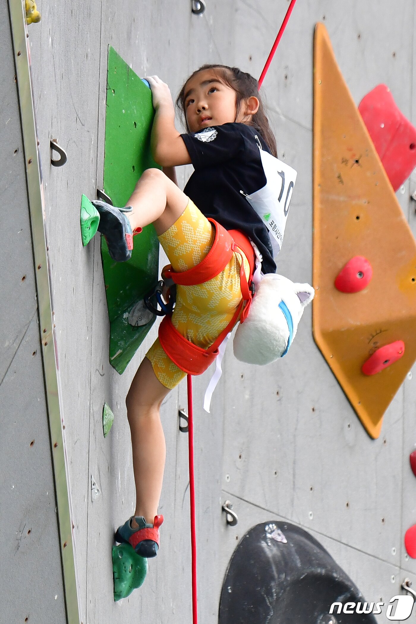 본문 이미지 - 17일 경북 포항시 남구 국제클라이밍센터에서 열린 '2023 제4회 포항전국청소년스포츠클라이밍대회' 초등학교 저학년부 결승전에 출전한 선수가 안간힘을 다하고 있다.2023.9.17/뉴스1 ⓒ News1 최창호 기자