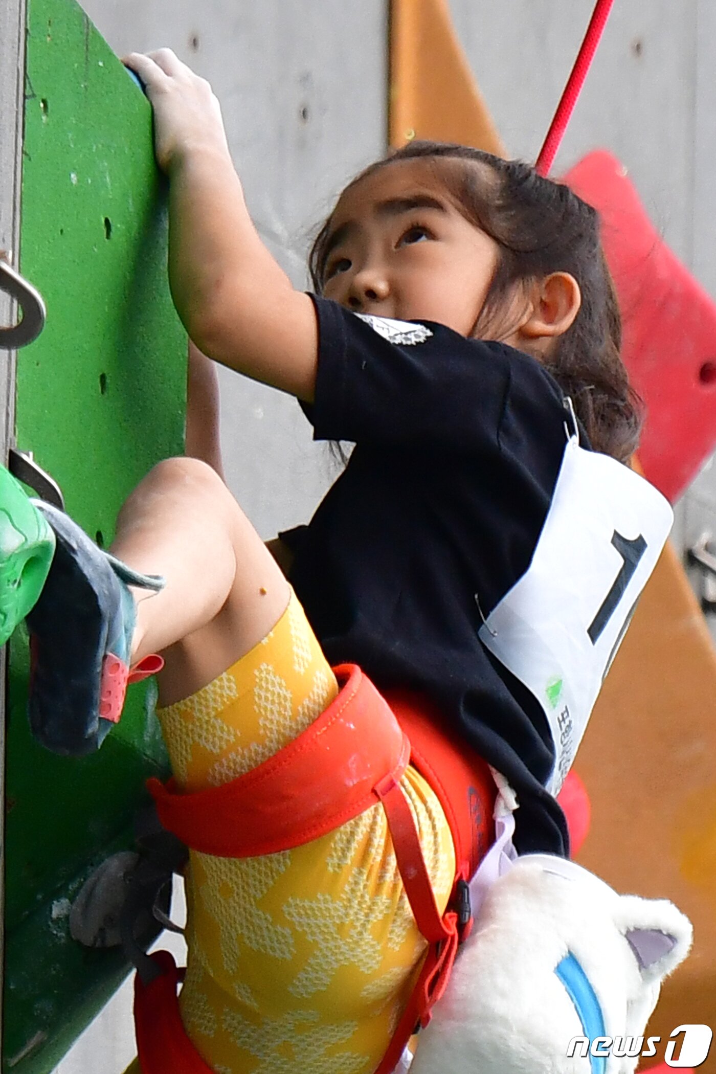 본문 이미지 - 17일 경북 포항시 남구 국제클라이밍센터에서 열린 '2023 제4회 포항전국청소년스포츠클라이밍대회' 초등학교 저학년부 결승전에 출전한 선수가 인공암벽을 타고 있다.2023.9.17/뉴스1 ⓒ News1 최창호 기자