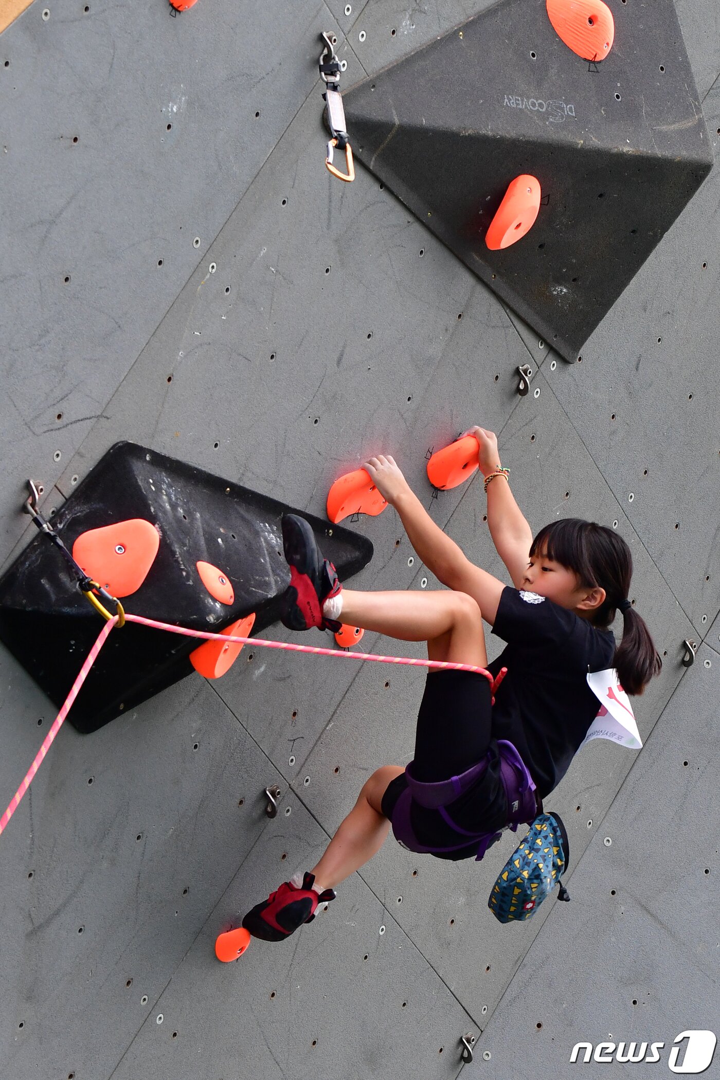 본문 이미지 - 17일 경북 포항시 남구 국제클라이밍센터에서 열린 '2023 제4회 포항전국청소년스포츠클라이밍대회' 초등부 결승전에 출전한 선수가 정상을 항해  차근차근 올라가고 있다.2023.9.17/뉴스1 ⓒ News1 최창호 기자