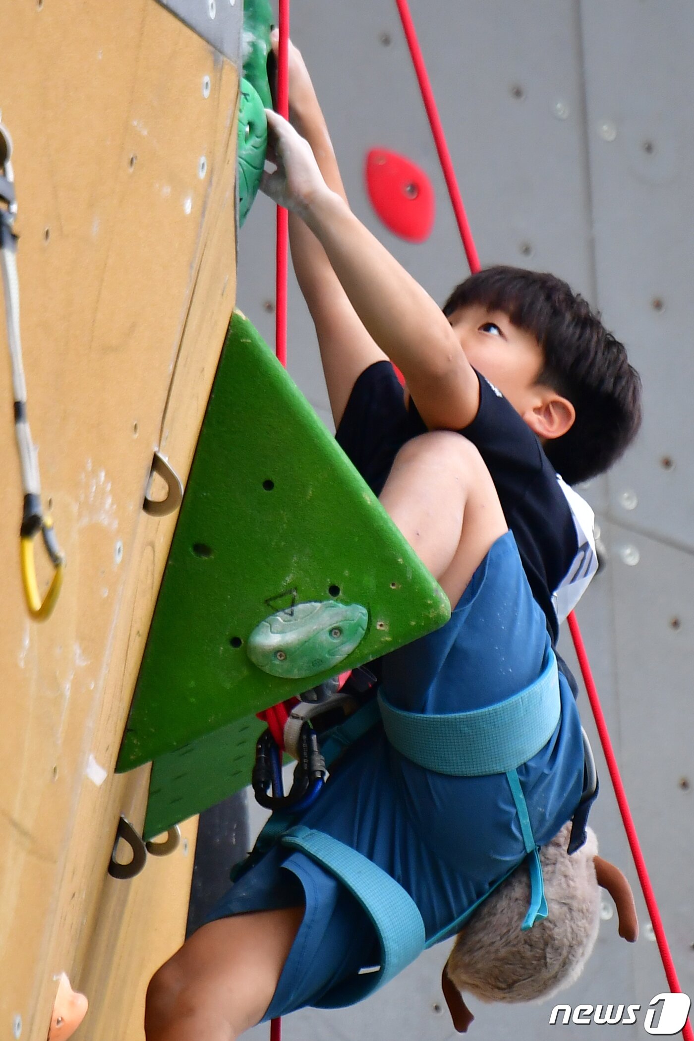 본문 이미지 - 17일 경북 포항시 남구 국제클라이밍센터에서 열린 '2023 제4회 포항전국청소년스포츠클라이밍대회' 초등부 결승전에 출전한 선수가 정상으로 올라가고 있다. 2023.9.17/뉴스1 ⓒ News1 최창호 기자