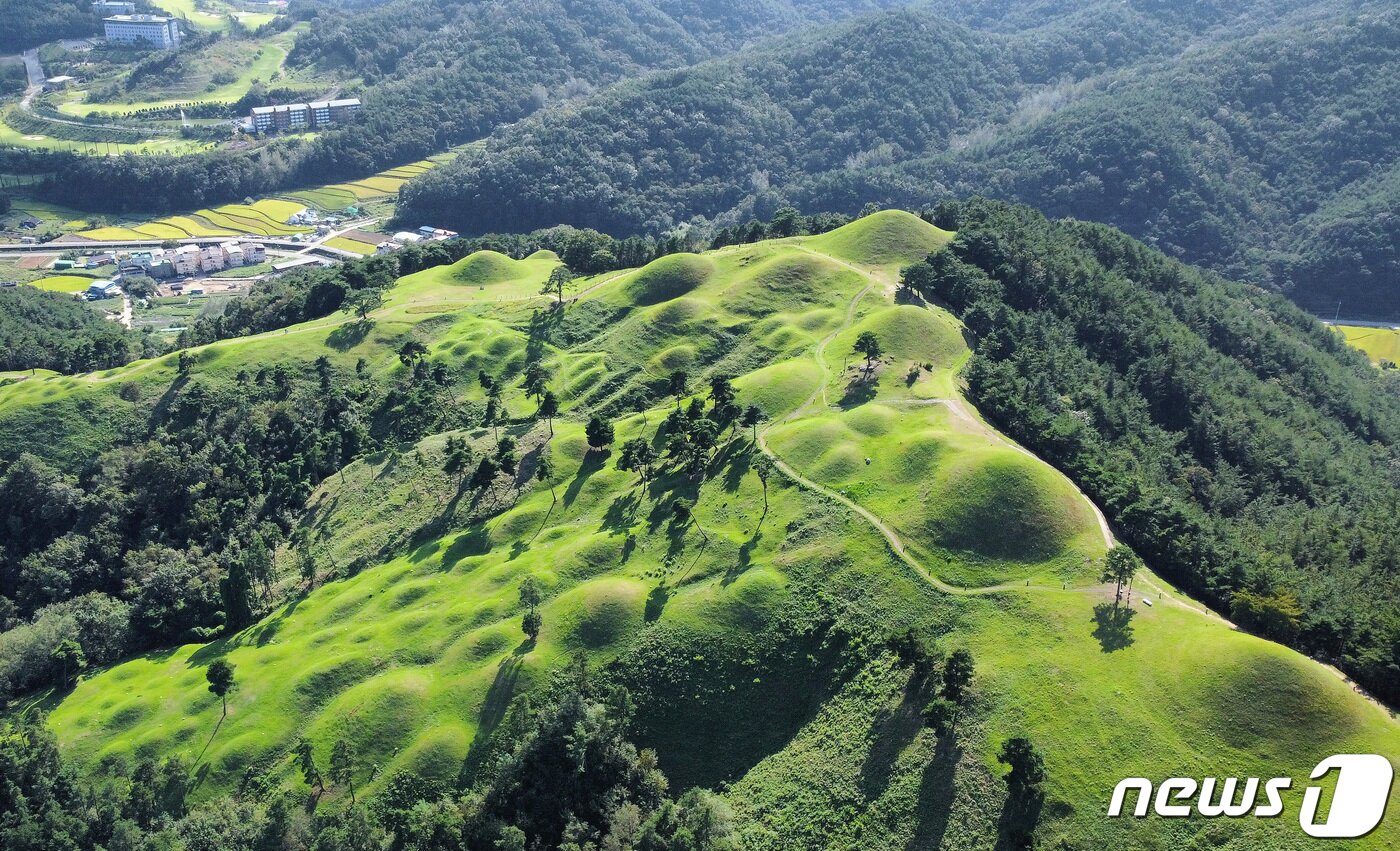  경북 고령 지산동 고분군 전경. 2023.9.18/뉴스1 ⓒ News1 공정식 기자