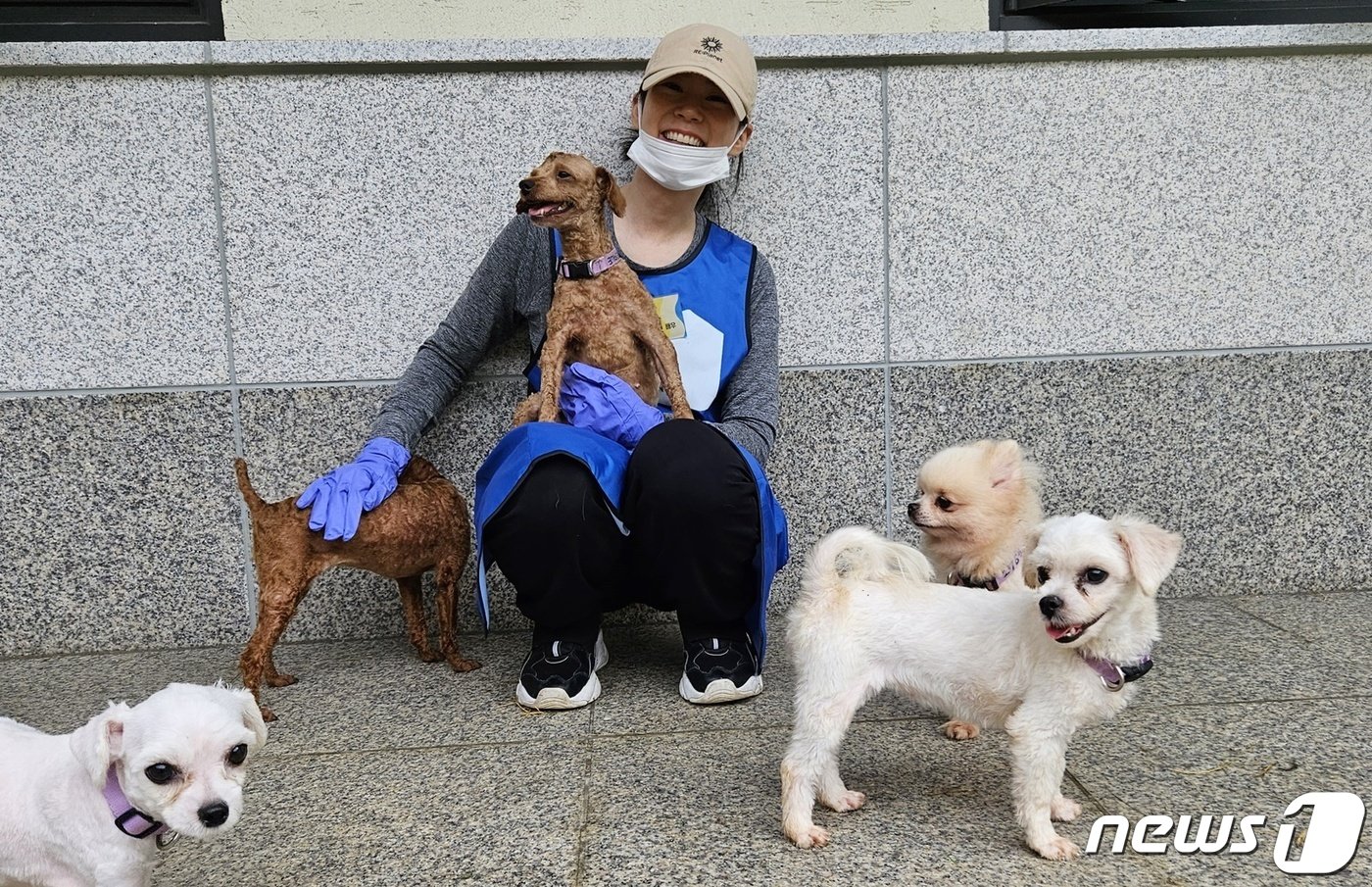 배우 한승연이 17일 경기 반려마루에서 개들에게 간식을 주고 있다. ⓒ 뉴스1 최서윤 기자