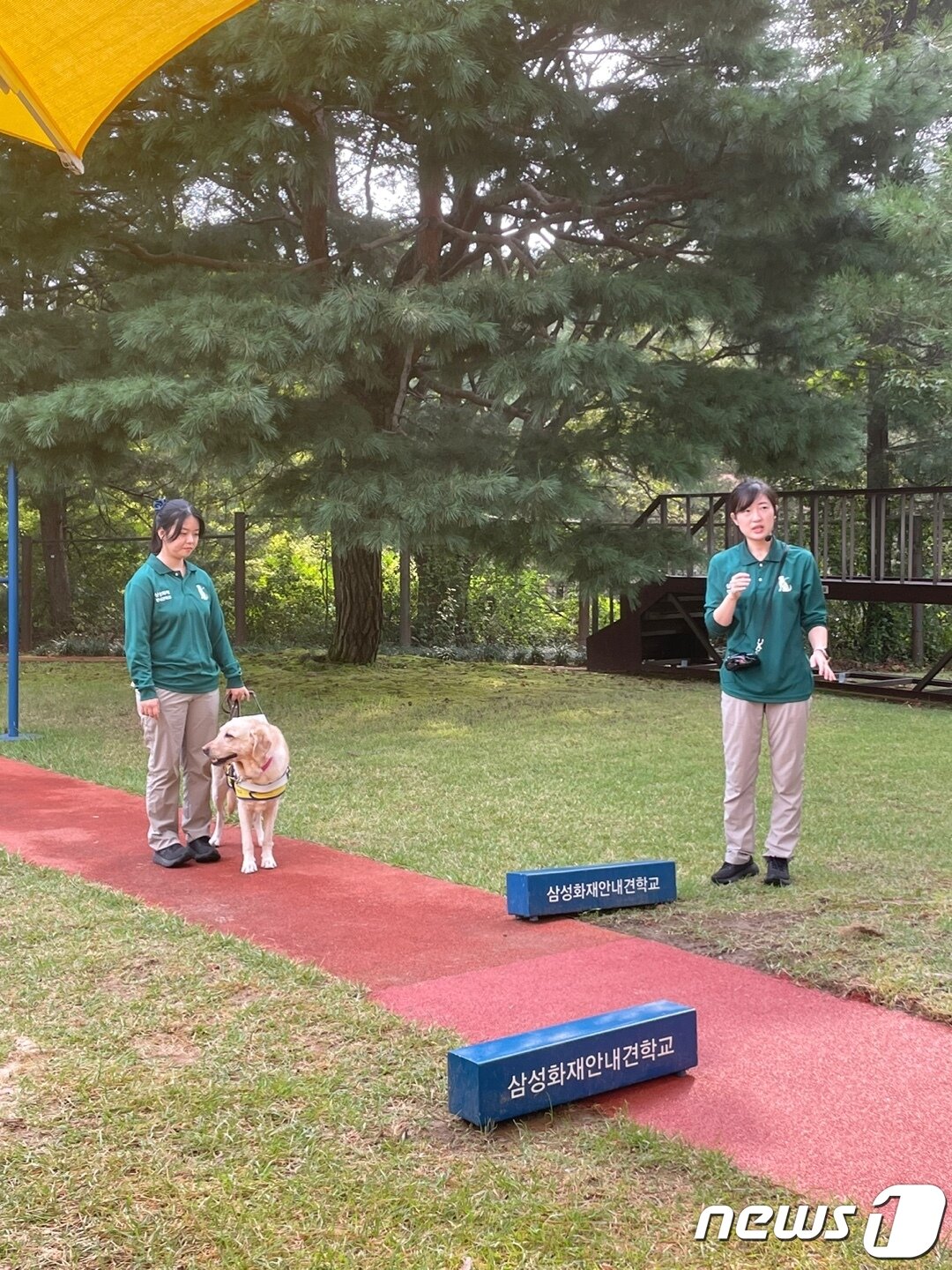 본문 이미지 - 훈련사인 차도희 프로(왼쪽)가 시범견 '지니'와 함께  보행체험을 하고 있다. 2023.9.19/뉴스1 ⓒ News1 강태우 기자  