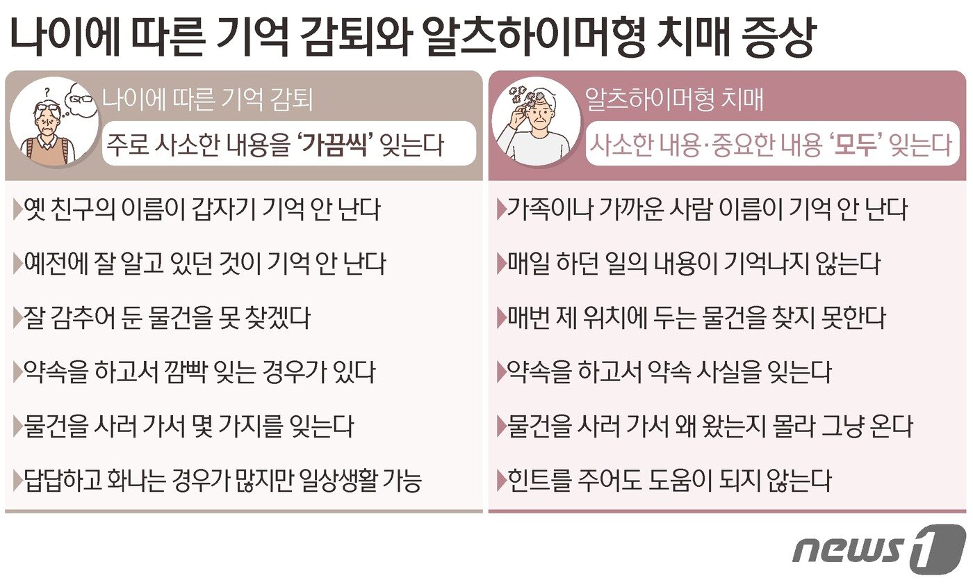 본문 이미지 - ⓒ News1 김초희 디자이너