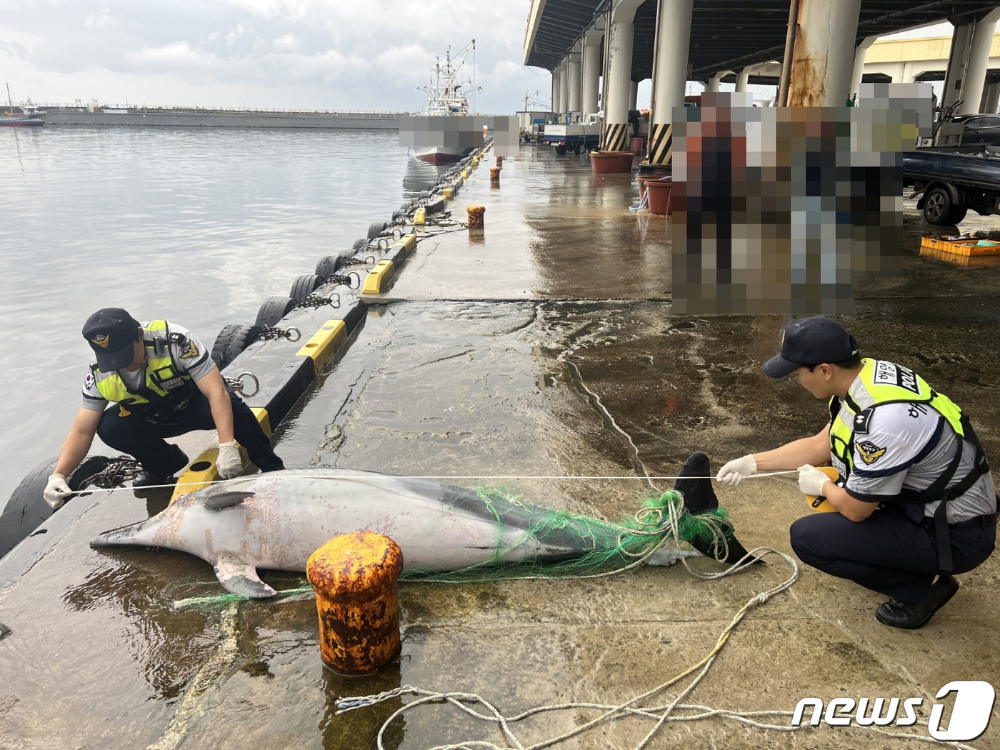 (서울=뉴스1) = 속초해양경찰서는 20일 오전 7시경 강원특별자치도 강릉시 주문진항 남동방 약 13.3km(약 7.2해리) 해상에서 어선 A호(2.94톤, 연안 자망, 주문진 선 …