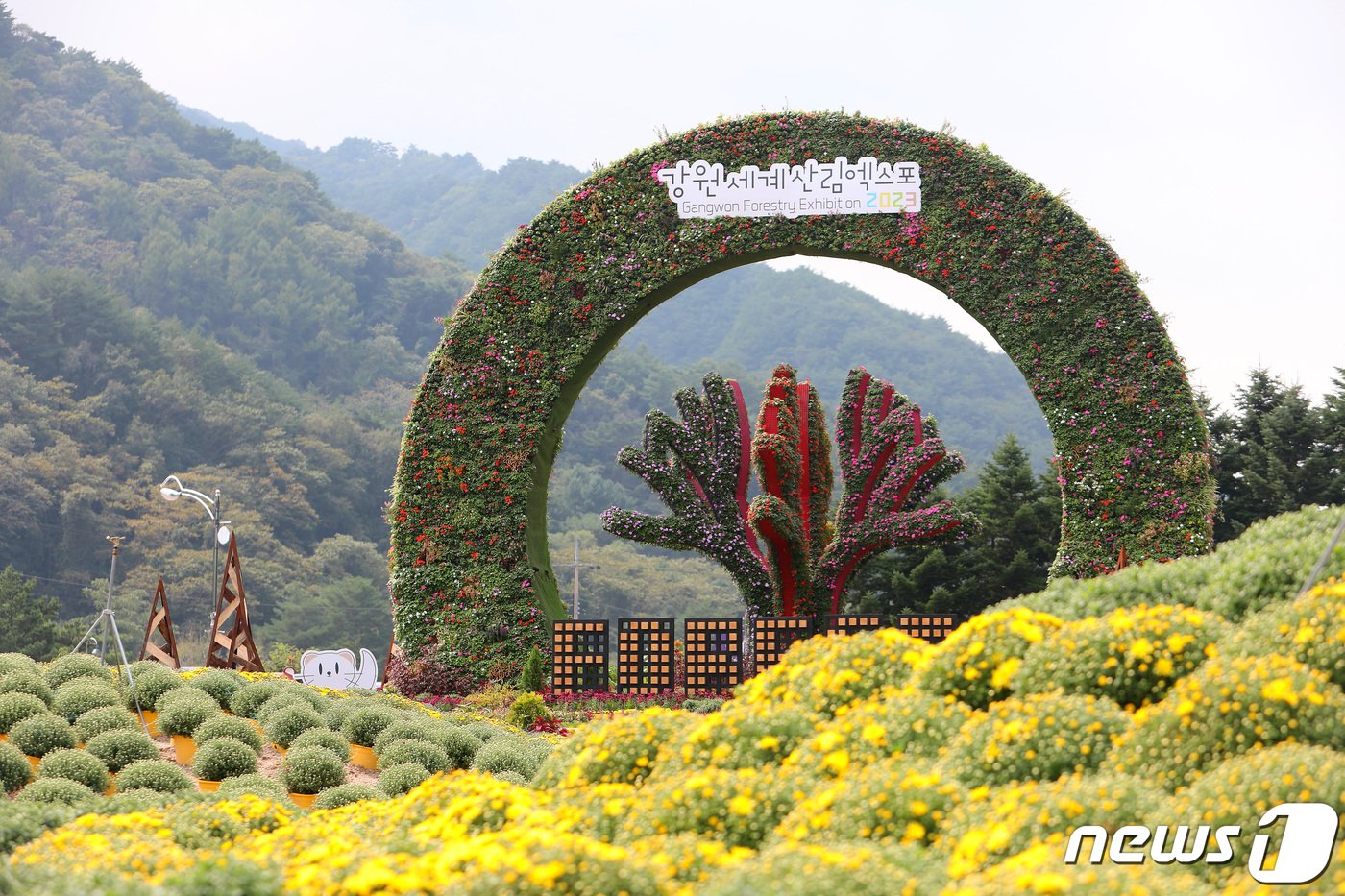 인제 가을꽃축제장.&#40;인제군 제공&#41; 2023.9.20/뉴스1