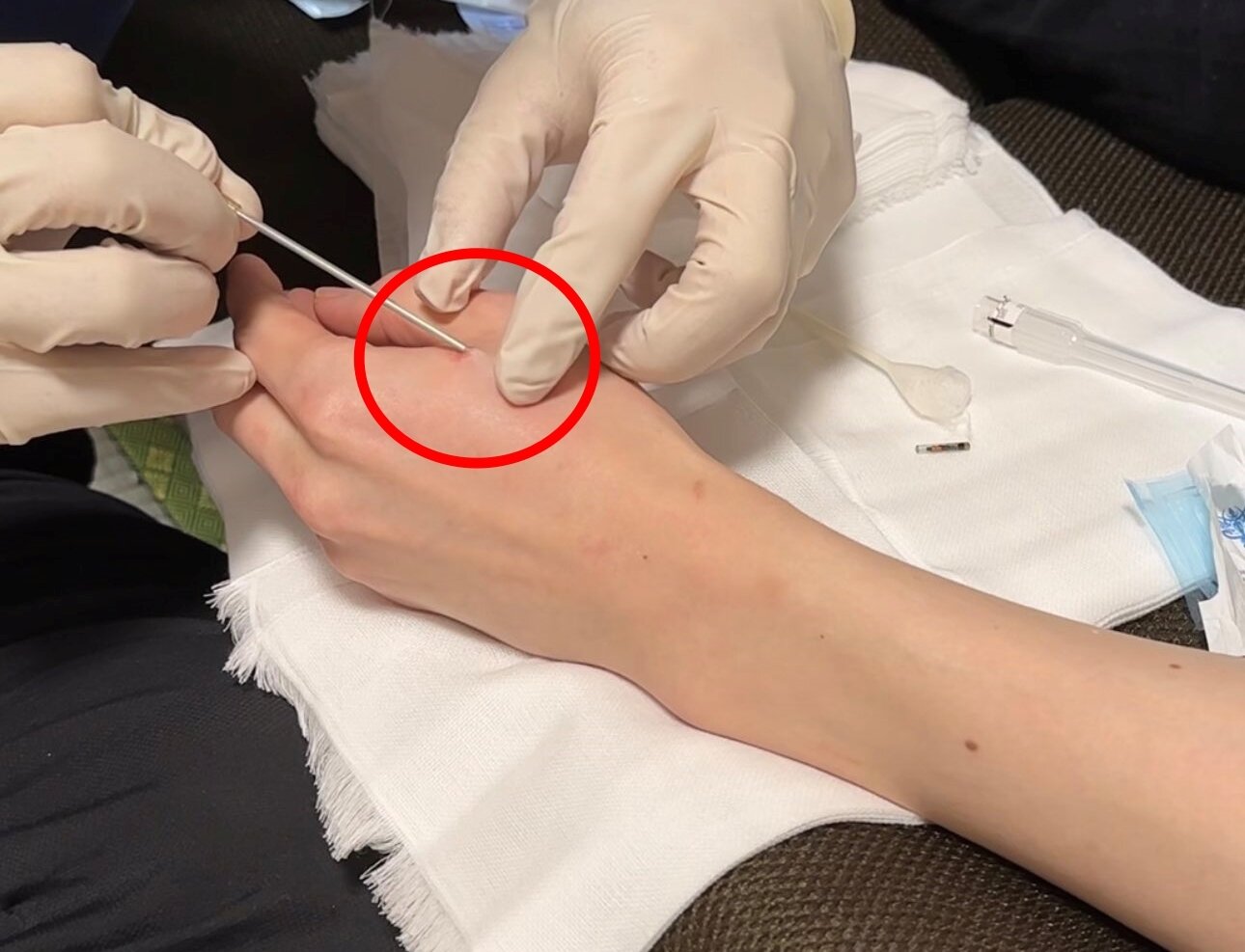 본문 이미지 - (X 갈무리)