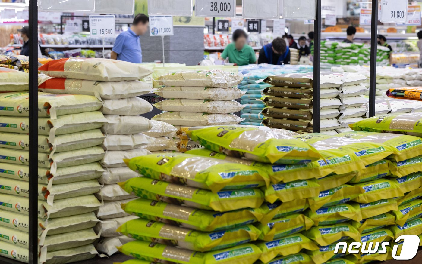 본문 이미지 -  2일 오후 서울의 한 대형마트에서 시민들이 쌀을 살펴보고 있다.  2023.9.22/뉴스1 ⓒ News1 이재명 기자