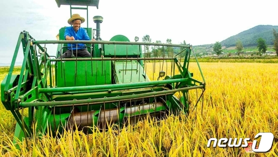 '가을걷이' 추수 한창인 북한…"흐뭇한 농사 작황 기쁨 안고"