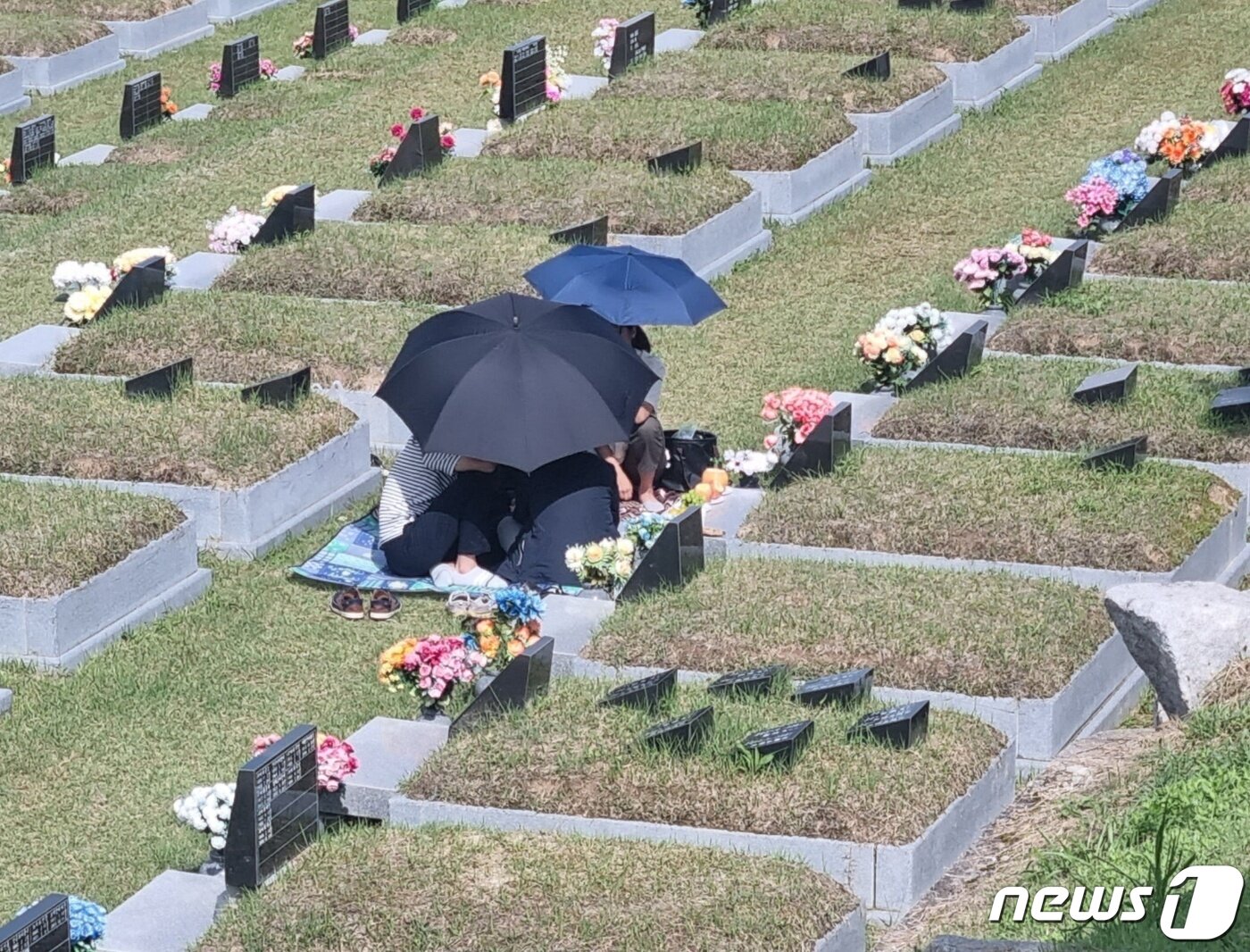 본문 이미지 - 주말이자 추석연휴를 며칠 앞둔 23일 강원 강릉시 공설묘원인 청솔공원에서 성묘객들이 가족과 시간을 보내고 있다. 2023.9.23/뉴스1 윤왕근 기자
