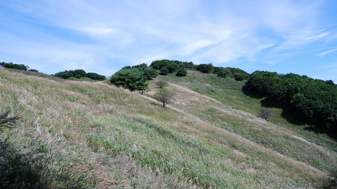 본문 이미지 - 정상을 오르는 길에 마주한 갈대 물결. ⓒ News1  